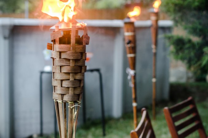 rimedi naturali contro le zanzare