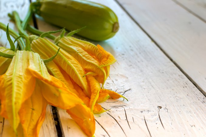 zucchine e fiori di zucca ripieni carne
