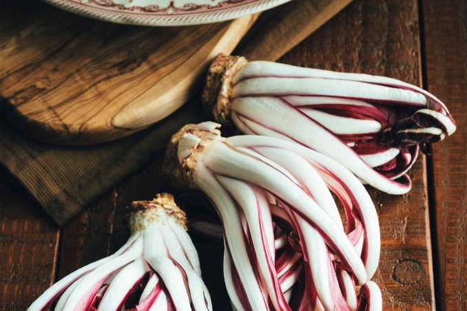 come coltivare il radicchio