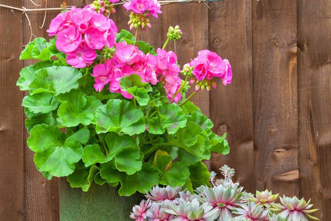 come riparare dal vento il terrazzo