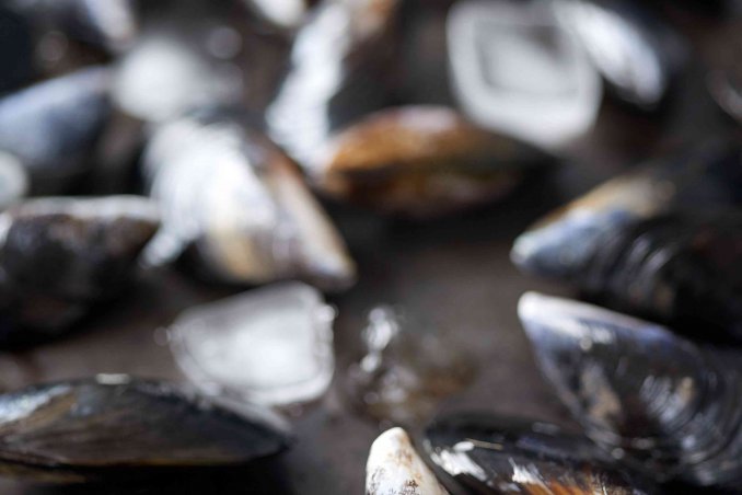 come pulire le cozze velocemente