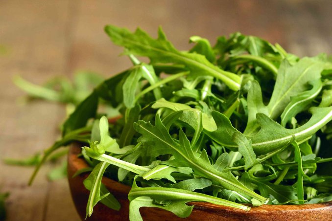 come coltivare la rucola