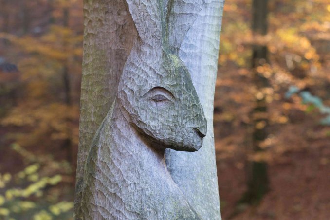 sognare conigli cosa significa