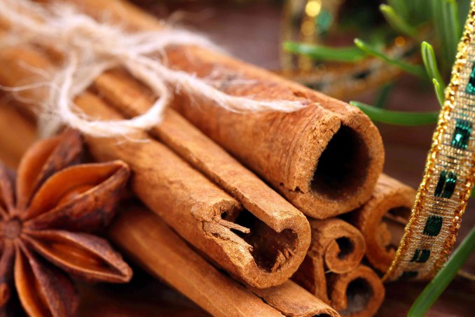 cannela proprietà e utilizzi