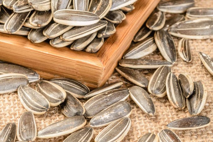 semi di girasole proprietà