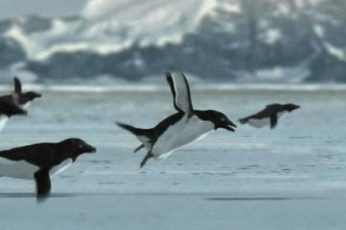 Pesce d'aprile: i 5 scherzi più famosi