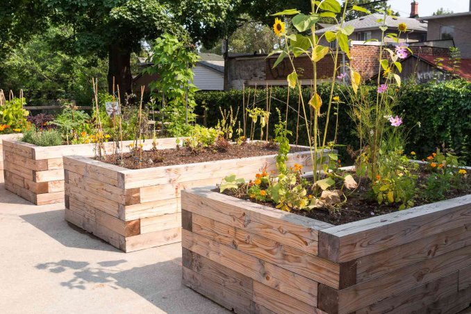 come organizzare un orto sinergico