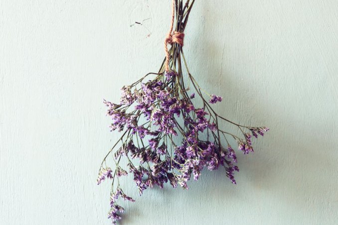 come essiccare fiori