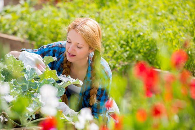 cosa coltivare ad aprile, coltivare aprile, orto di primavera