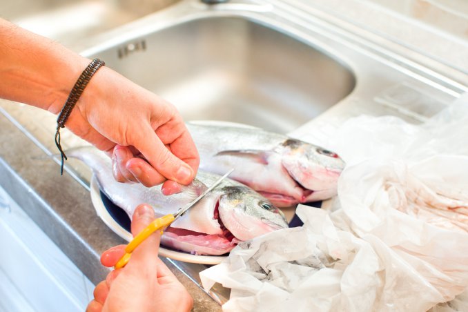 come pulire pesce appena pescato, pulire pesce