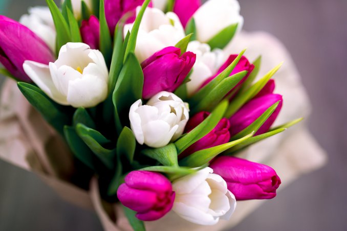 fiori festa donna, regali festa donna