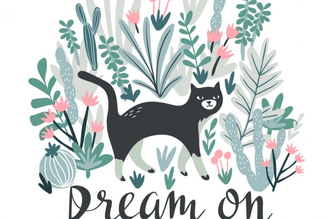 interpretare sogni, sognare gatti, colori