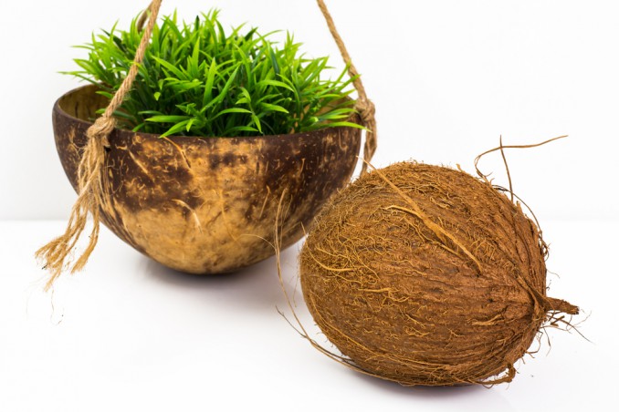 riciclare gusci noci di cocco, lavoretti con noce di cocco, utilizzare gusci noci