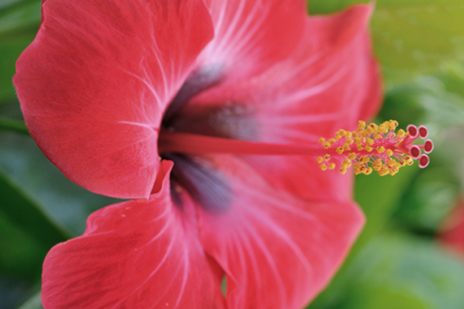 frasi sulla bellezza