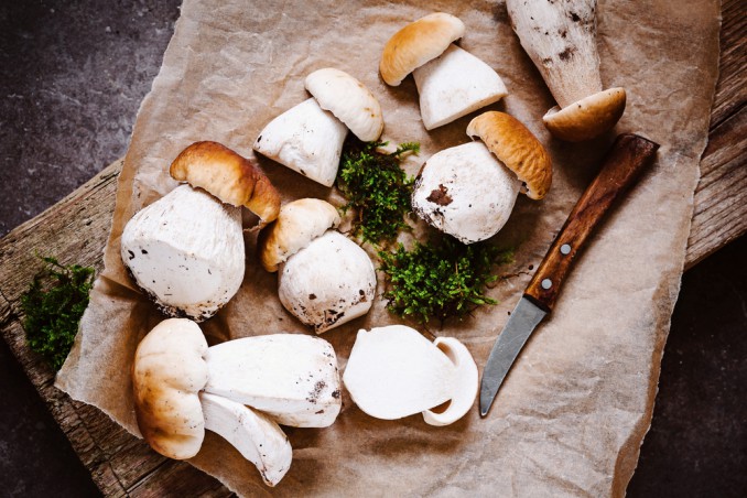 pulire funghi porcini