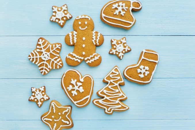 biscotti pan di zenzero