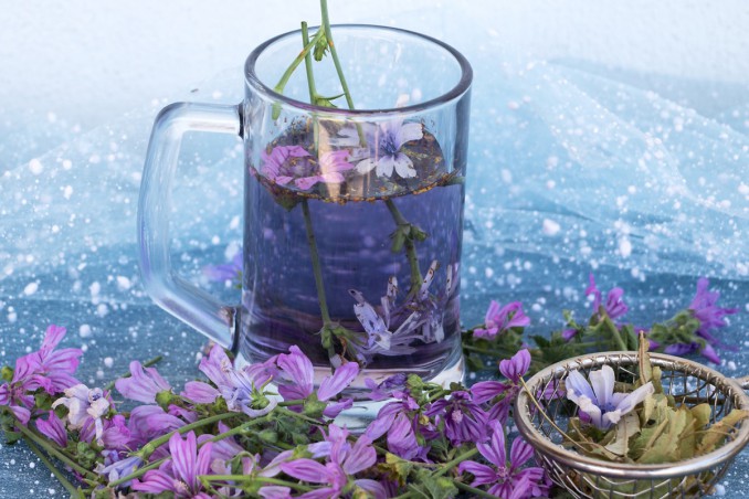 tisana alla malva, mal di stomaco, rimedi naturali