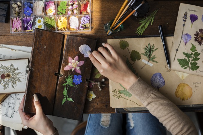 come pressare fiori, come pressare foglie