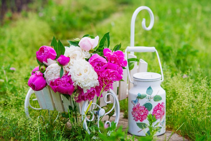 decoupage giardino, idee decoupage, idee giardino