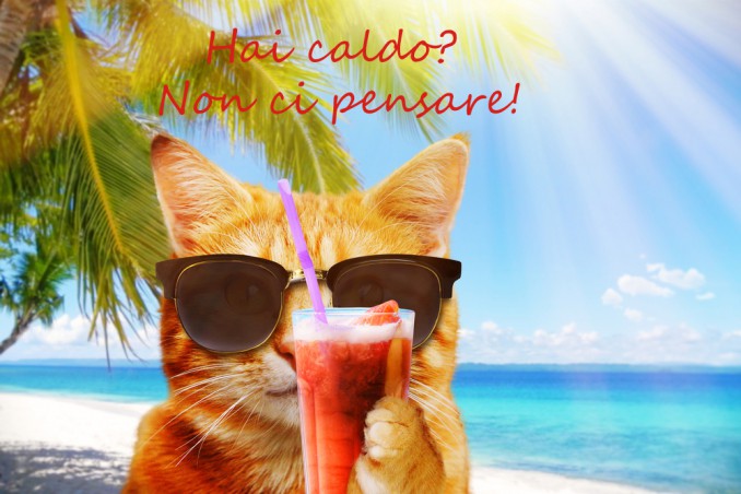 immagini divertenti caldo estivo, immagini caldo estivo, immagini divertenti caldo, immagini divertenti estate 