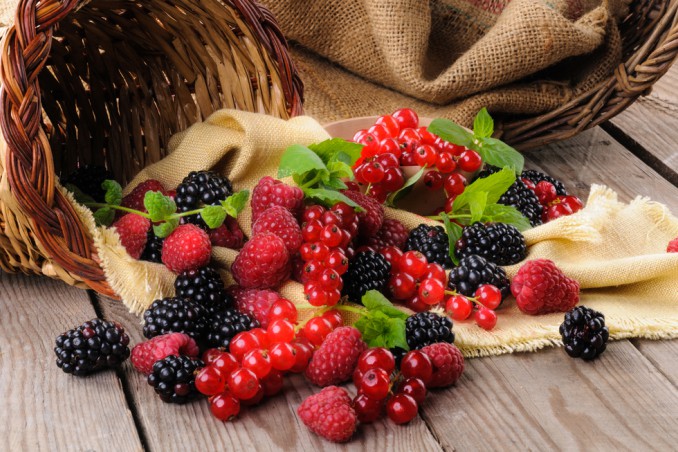 frutti bosco raccogliere, frutti bosco periodo