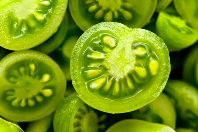 pomodori verdi umido