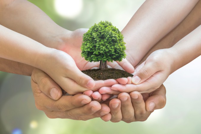 Festa degli alberi: la data e la storia