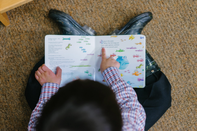 cassetta decorata libri