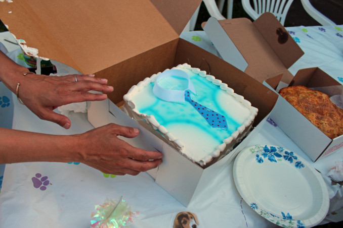 torte decorate panna festa del papà, torte decorate panna, torte festa papà