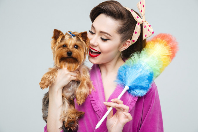 pulizie, casa, animali