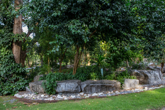 sassi giardino decorazione