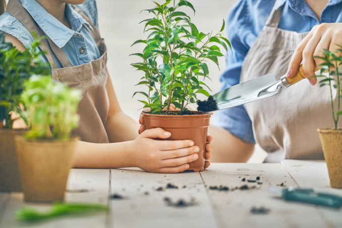 cura piante settembre