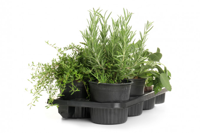 porta vasi fai da te