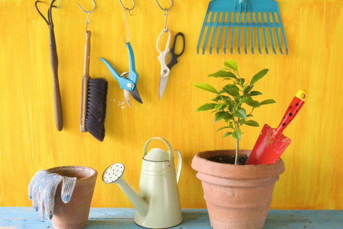 come togliere ruggine attrezzi giardino, come eliminare ruggine attrezzi giardino, ruggine attrezzi giardino