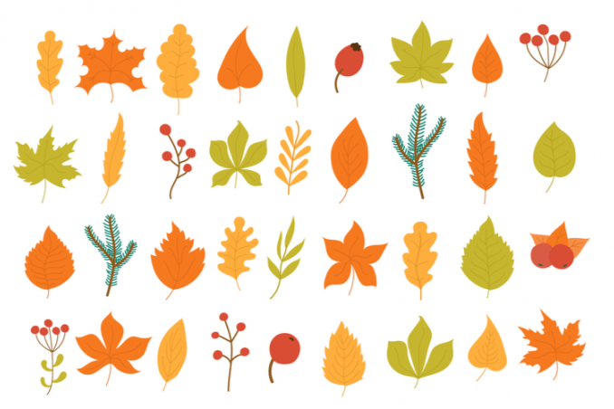 memory fai da te foglie