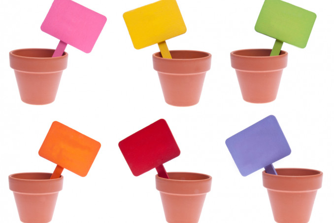 segna piante mandala