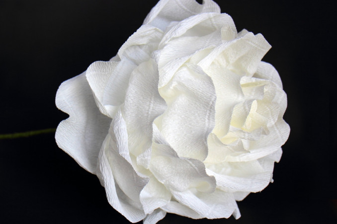 fiori carta nozze fai da te