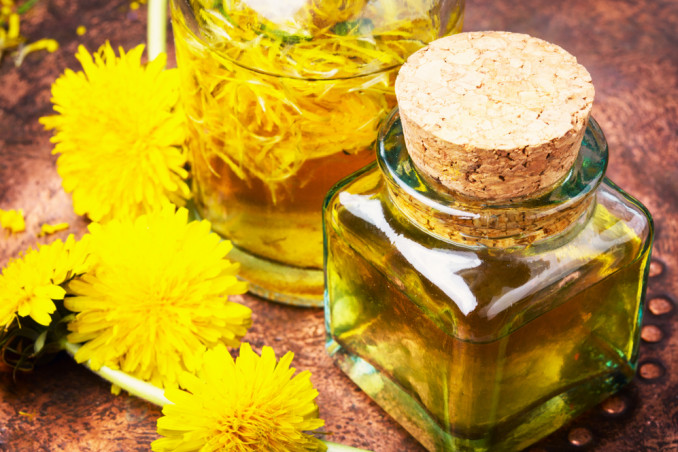 olio tarassaco fai da te