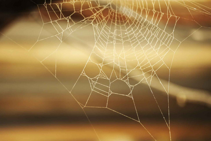 Come eliminare le ragnatele