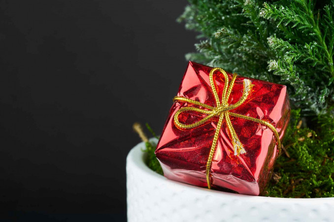 Regali di Natale solidali